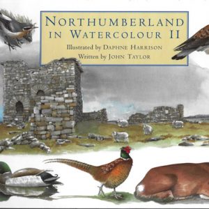 Northumberland in watercolour for web
