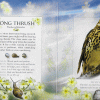 Garden Bird Songs Thrush600
